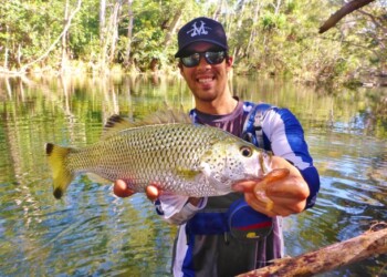 Victoria's Hopkins River provides some good sport fishing options for loclas in the know. Image: Tim Vincent